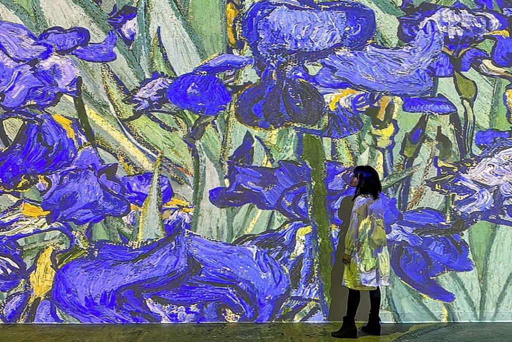 Immersive Van Gogh Exhibit.jpg